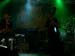 mark wald und wiesenfest 005